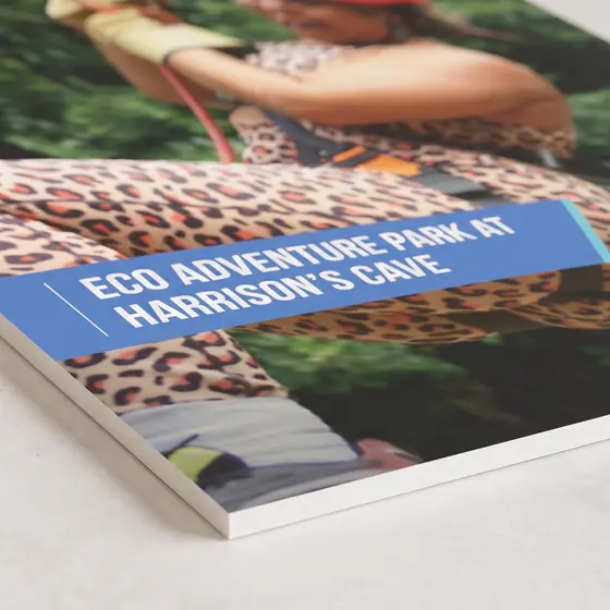 A brochure lying face-up on a white surface, the cover showing a leopard and a visitor attraction headline