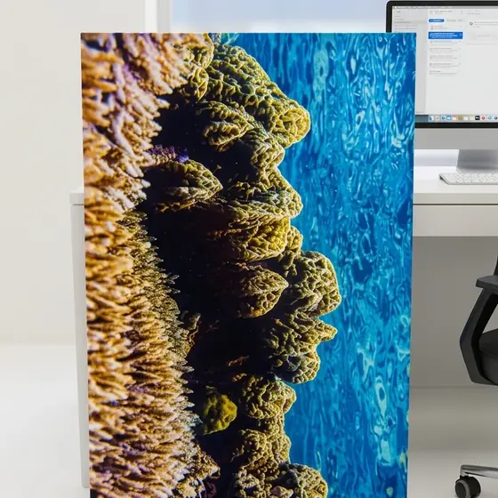 A stretched canvas print of a coral reef standing on an office desk