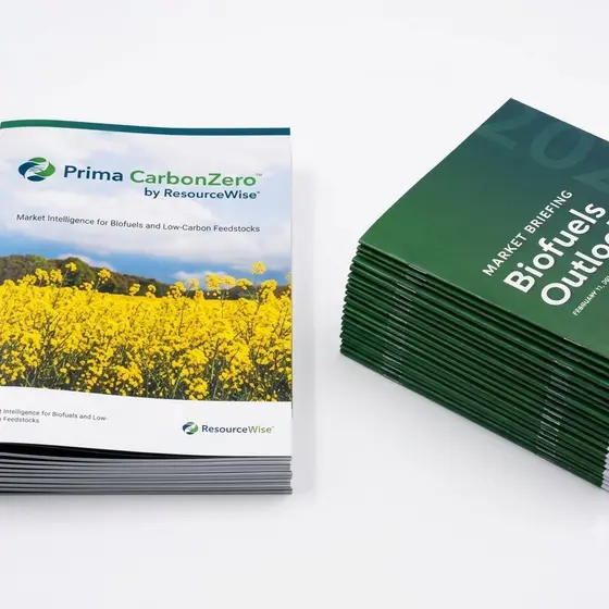 Saddle-stitched booklets in two stacks, trimmed and ready to box.