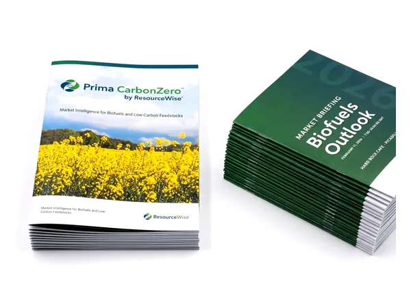 Two stacks of saddle stitched corporate booklets with printed covers